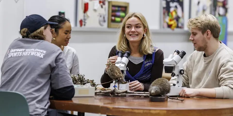 =?utf-8?B?OTYweDQ4MCAtIEJyZWRmb3JtYXQgLSBQw6ZkYWdvZyB1bmRlcnZpc25pbmcgQWFyaHVzICg2MykgMDItMTItMjAyNQ==?=